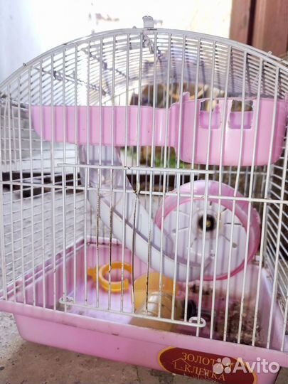 Клетка для хомяка