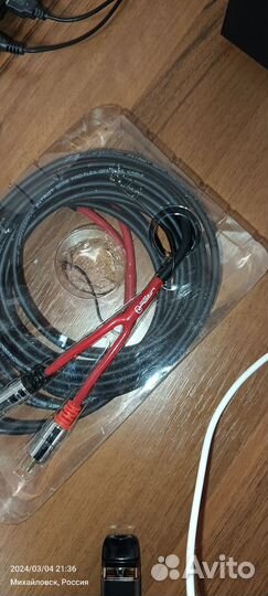 Тюльпаны провода