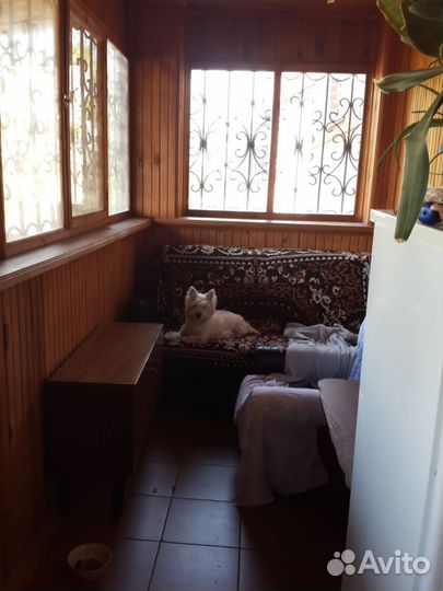 Зоогостиница (передержка) питомца Тюмень ммс