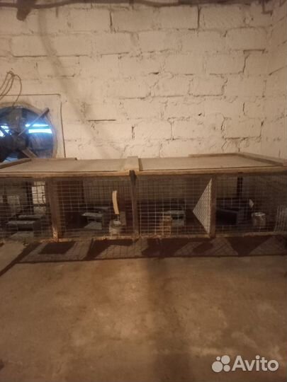 Клетки для кроликов бу
