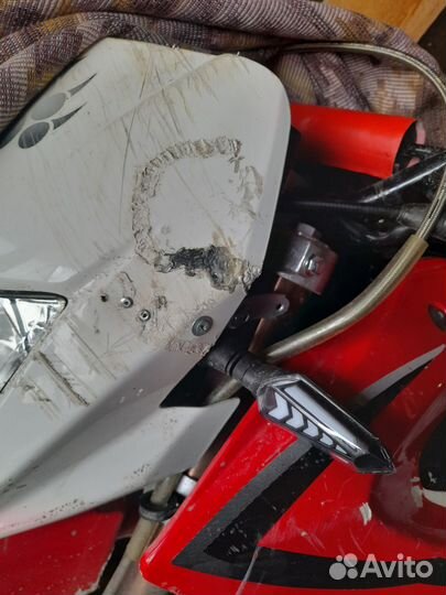 Ирбис ттр250