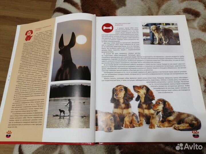 Детская энциклопедия