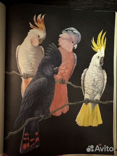 Энциклопедии Жизнь животных СССР