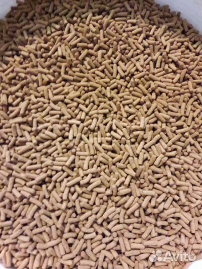 Корм для рыб