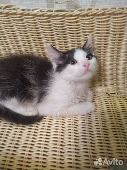 Санечка очень ждёт добрые ручки