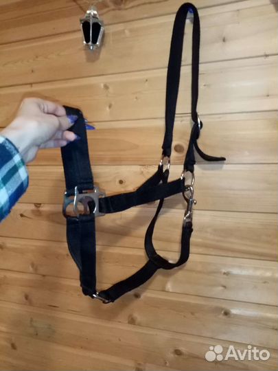 Кавессон и амуниция для лошади