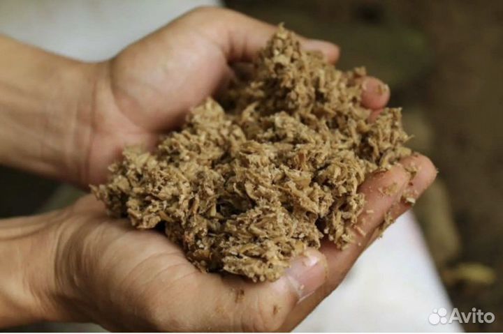 Пивная дробина(солодовая)корм для скотины