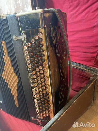 Вологодский баян