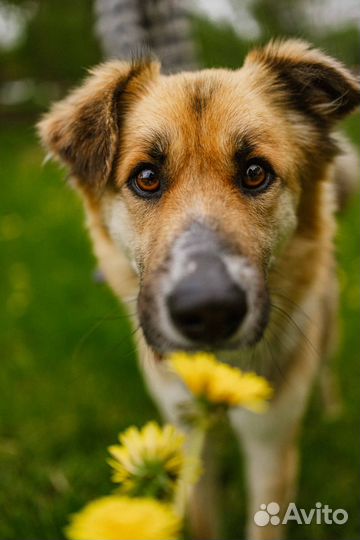 Леонид ищет семью