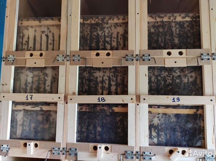 Павильон для пчёл 