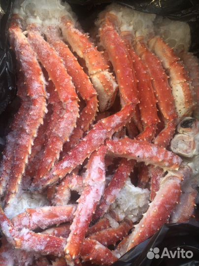 Краб камчатский. Клешни