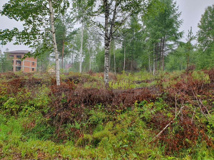 Участок 10 сот. (СНТ, ДНП)