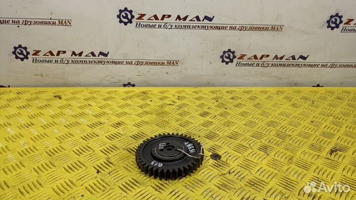 Шестерня грм промежуточная Man Tga Tgs Tgx