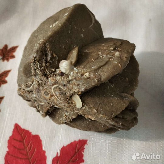 Минерал роза пустыни