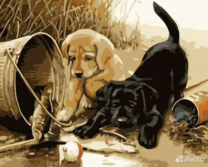 Картина по номерам, 40*50