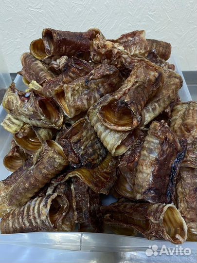 Лакомства для собак