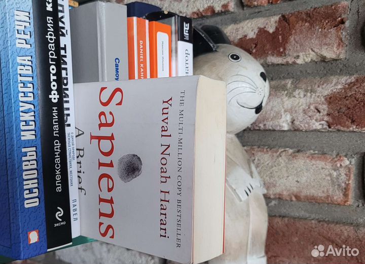 Книга по саморазвитию 