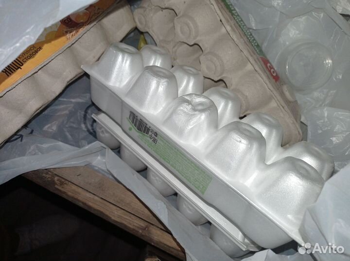 Банки пластиковые