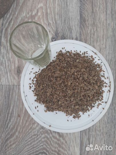 Семена укропа