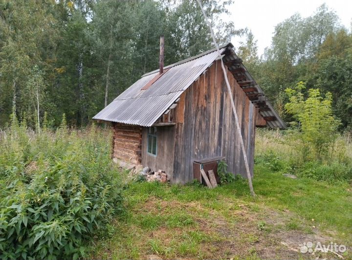 Пчелы пасека под ключ