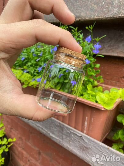 Банка стеклянная №70
