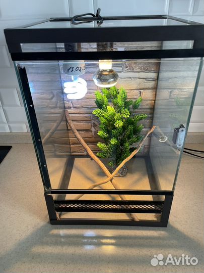 Террариум для хамелеона
