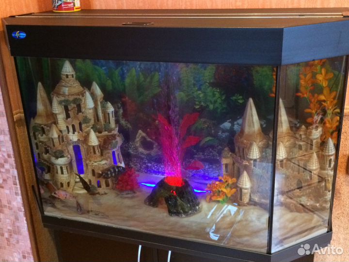 Обслуживание аквариумов