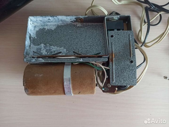 Вспышка Чайка