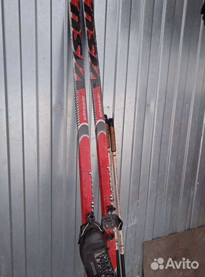 Беговые лыжи