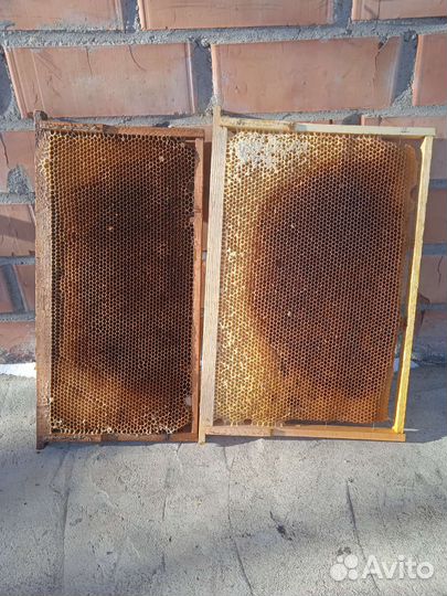 Рамки с вощиной