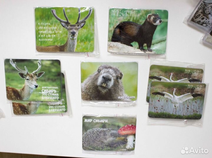 Магниты на холодильник, Сибирь (новые)