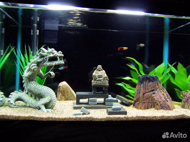 Обслуживание аквариумов, чистка