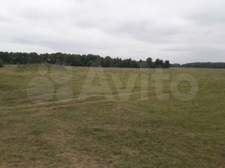 Участок 32 га (СНТ, ДНП)