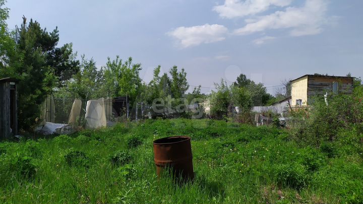 Участок 3,7 сот. (СНТ, ДНП)