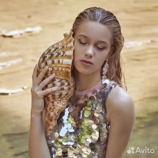 Раковина Харония Тритонис (Charonia tritonis)