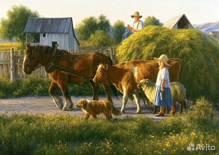 Луговое сено в рулонах и тюках