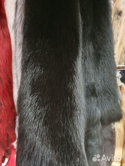 Шкурки песца черный