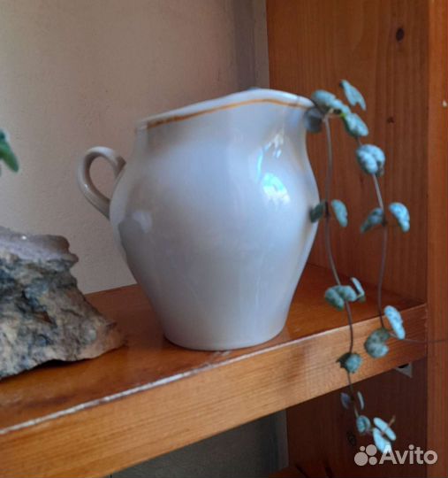 Церопегия вуда в стеклянном горшочке