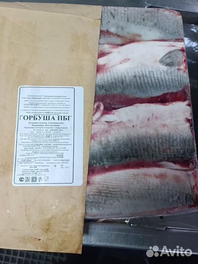 Горбуша без головы