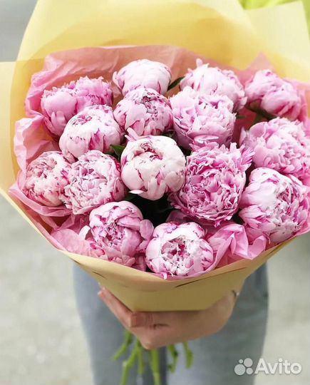Пионы Букет