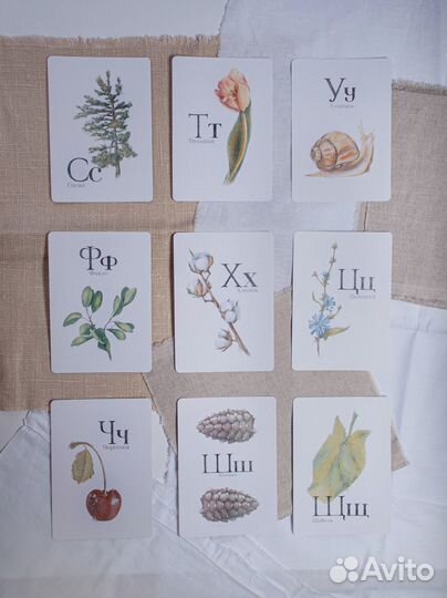 Набор детских карточек с алфавитом - «Природа»