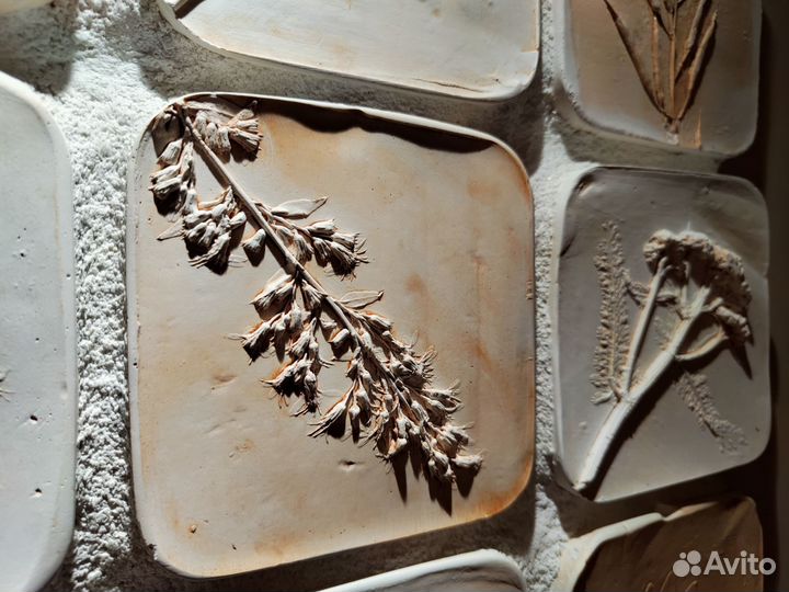 Гипсовая ботаническая плитка