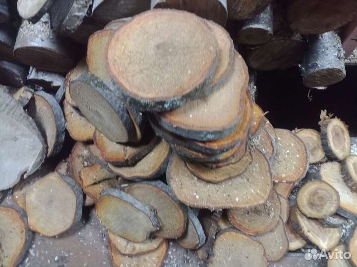 Торцевые спилы деревьев