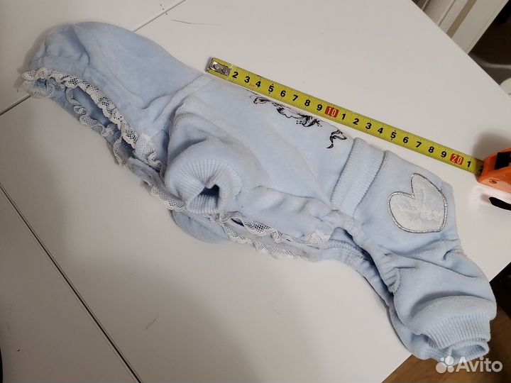 Одежда для маленьких собак xs