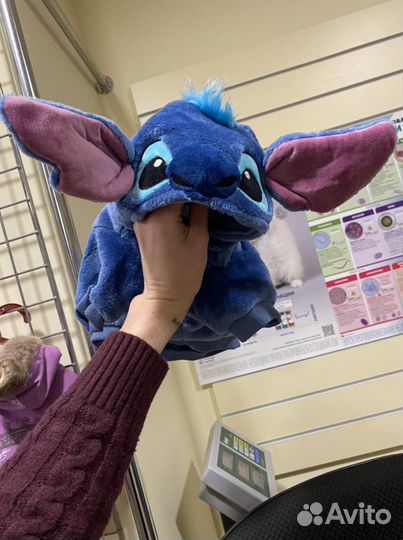 Одежда для собак