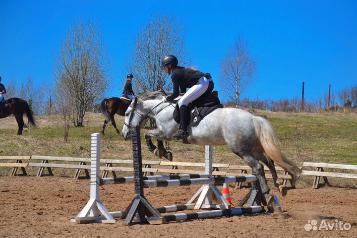 Вальтрап cavalleria toscana