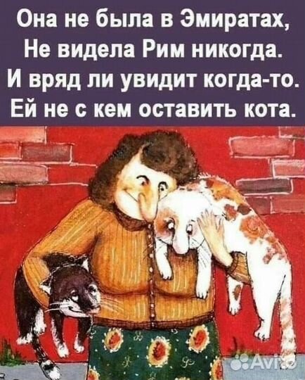 Передержка животных