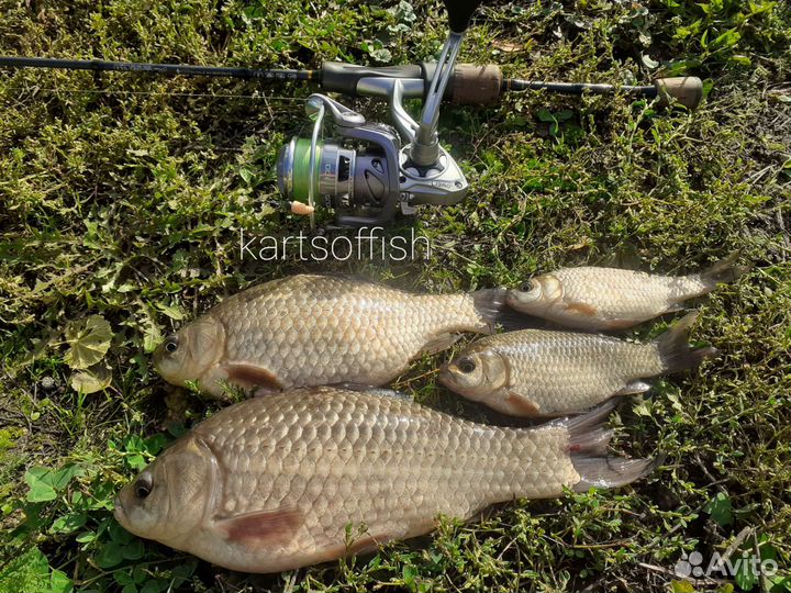 Уроки по спиннингу с берега