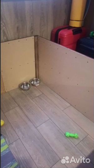 Манеж для собак