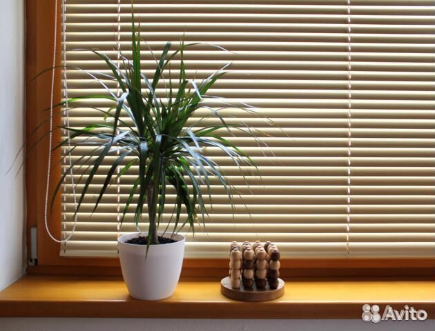 Жалюзи вертикальные и горизонтальные от производит